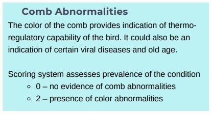 Animal welfare assessment for laying hens - Image 5