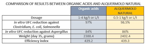 Digestive, bacterial and fungal diseases in poultry farming: impact, diagnosis and prevention - Image 5