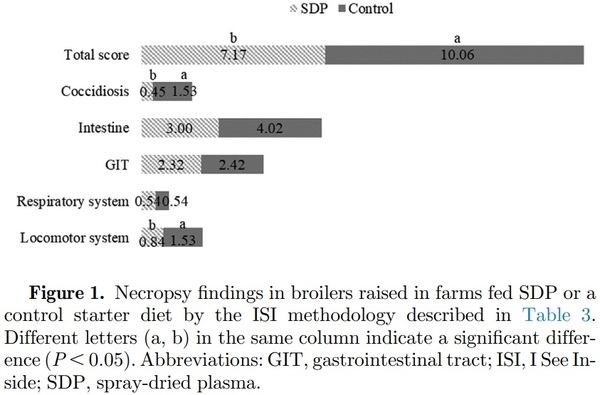 Field evaluation of feeding spray-dried plasma in the starter period on final performance and overall health of broilers - Image 6