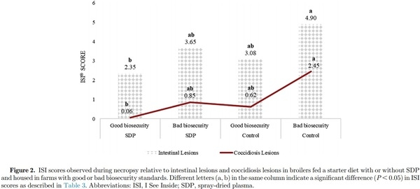 Field evaluation of feeding spray-dried plasma in the starter period on final performance and overall health of broilers - Image 7