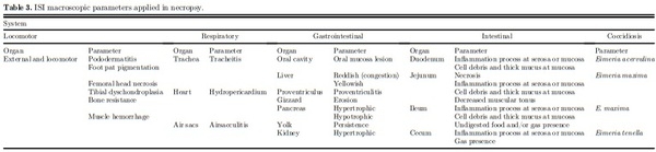 Field evaluation of feeding spray-dried plasma in the starter period on final performance and overall health of broilers - Image 3