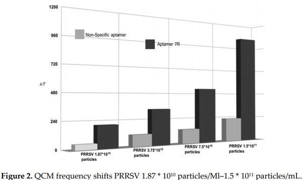 Aptamer-Based QCM-Sensor for Rapid Detection of PRRS Virus - Image 2