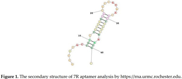 Aptamer-Based QCM-Sensor for Rapid Detection of PRRS Virus - Image 1