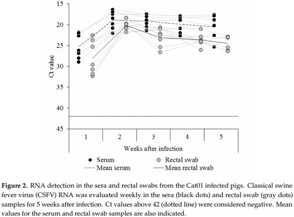 Identification of an Immunosuppressive Cell Population during Classical Swine Fever Virus Infection and Its Role in Viral Persistence in the Host - Image 2