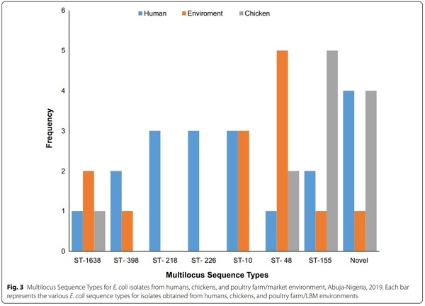 Genetic relatedness of multidrug resistant Escherichia coli isolated from humans, chickens and poultry environments - Image 4