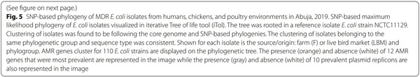 Genetic relatedness of multidrug resistant Escherichia coli isolated from humans, chickens and poultry environments - Image 6