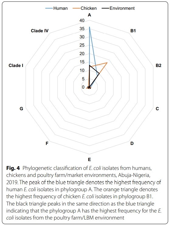 Genetic relatedness of multidrug resistant Escherichia coli isolated from humans, chickens and poultry environments - Image 5