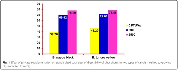 Recent advances in canola meal utilization in swine nutrition - Image 1