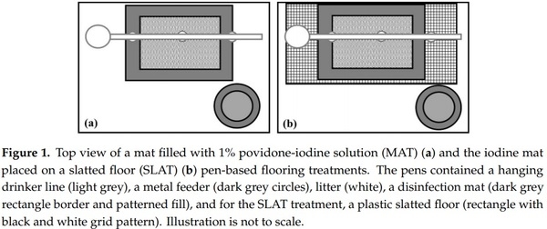 Remedying Contact Dermatitis in Broiler Chickens with Novel Flooring Treatments - Image 2