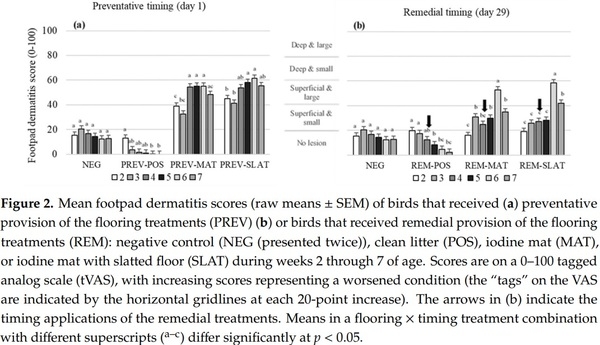 Remedying Contact Dermatitis in Broiler Chickens with Novel Flooring Treatments - Image 5