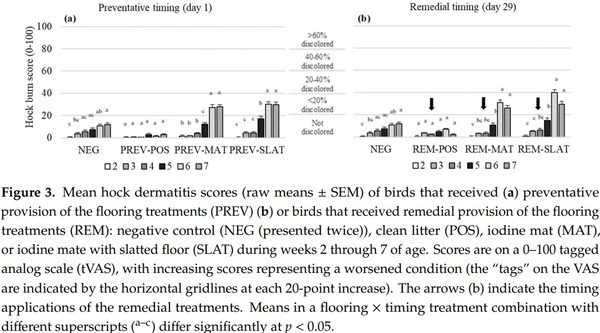 Remedying Contact Dermatitis in Broiler Chickens with Novel Flooring Treatments - Image 6