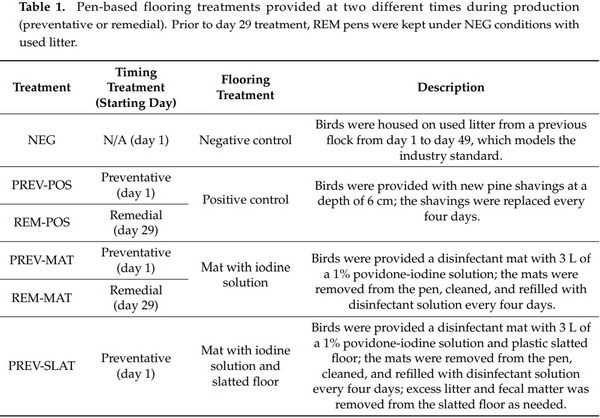 Remedying Contact Dermatitis in Broiler Chickens with Novel Flooring Treatments - Image 1