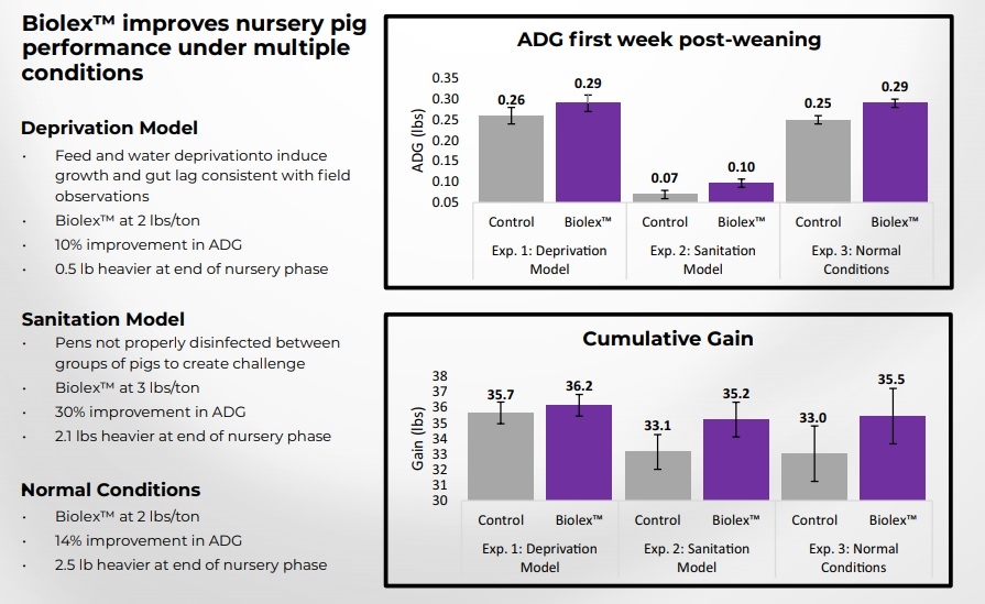 Field trial results in nursery pigs - Image 1