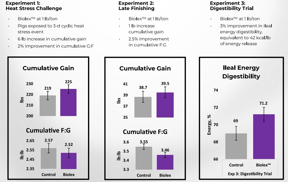 Field trial results in fattening pigs - Image 2