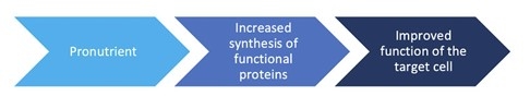Optimization of intestinal physiology, performance and efficiency of poultry farming - Image 1