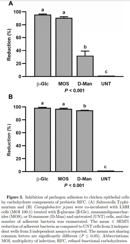 Refined functional carbohydrates reduce adhesion of Salmonella and Campylobacter to poultry epithelial cells in vitro - Image 3
