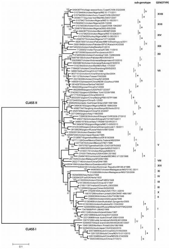 Epidemiology, control, and prevention of Newcastle disease in endemic regions: Latin America - Image 1