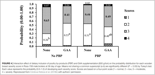 The Potential of Guanidino Acetic Acid to Reduce the Occurrence and Severity of Broiler Muscle Myopathies - Image 6