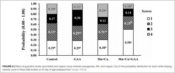 The Potential of Guanidino Acetic Acid to Reduce the Occurrence and Severity of Broiler Muscle Myopathies - Image 8