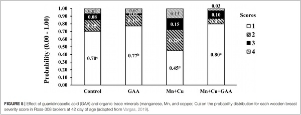 The Potential of Guanidino Acetic Acid to Reduce the Occurrence and Severity of Broiler Muscle Myopathies - Image 7