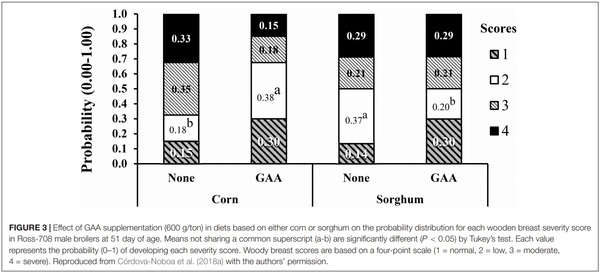 The Potential of Guanidino Acetic Acid to Reduce the Occurrence and Severity of Broiler Muscle Myopathies - Image 5