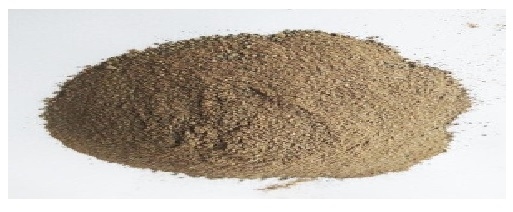 What are the innovative ingredients of the future in animal nutrition? - Image 3