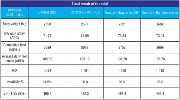 Comparative Efficacy of Fortified Growth Promoters in Broilers - Image 3