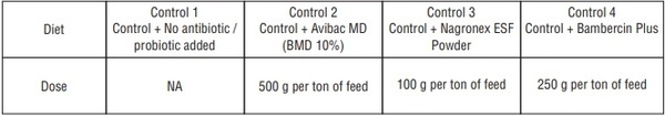Comparative Efficacy of Fortified Growth Promoters in Broilers - Image 2