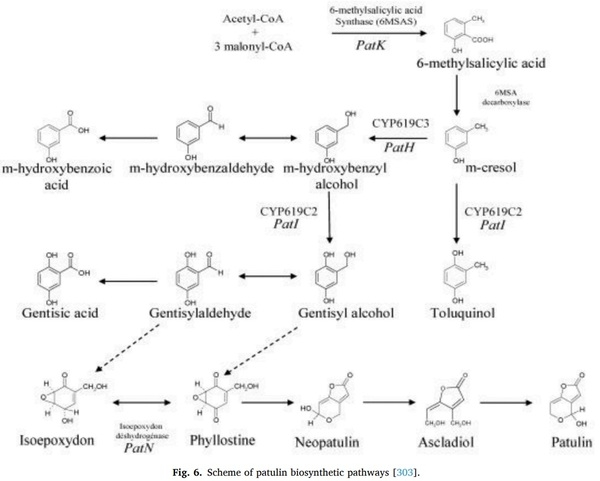 Aspergillus derived mycotoxins in food and the environment: Prevalence, detection, and toxicity - Image 11