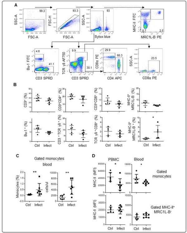 A transient increase in MHC-IIlow monocytes after experimental infection with Avibacterium paragallinarum (serovar B-1) in SPF chickens - Image 1
