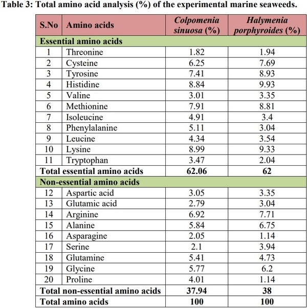 Phytochemical, Amino Acid, Fatty Acid and Vitamin Investigation of Marine Seaweeds Colpomenia Sinuosa and Halymenia Porphyroides Collected along Southeast Coast of Tamilnadu, India - Image 4