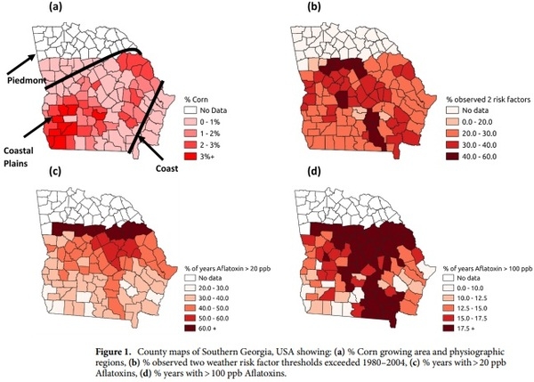 Determining future aflatoxin contamination risk scenarios for corn in Southern Georgia, USA using spatio-temporal modelling and future climate simulations - Image 1