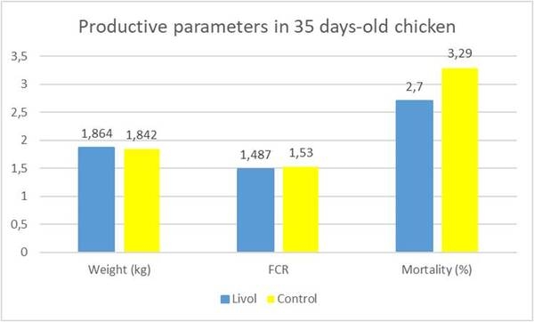 The Liver, a Key Organ in Poultry Production - Image 3