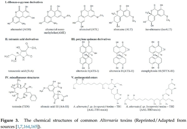Mycotoxins Affecting Animals, Foods, Humans, and Plants: Types, Occurrence, Toxicities, Action Mechanisms, Prevention, and Detoxification Strategies—A Revisit - Image 2