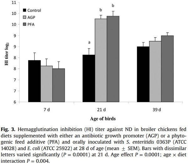 Comparative efficacy of a phytogenic feed additive and an antibiotic growth promoter on production performance, caecal microbial population and humoral immune response of broiler chickens inoculated with enteric pathogens - Image 7
