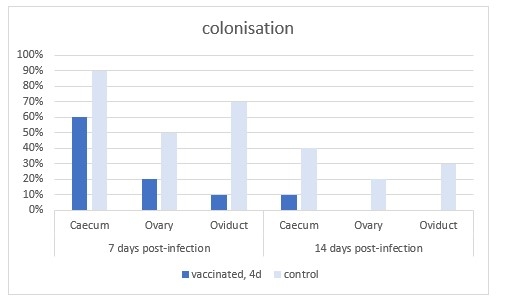 Salmonella in Poultry: Is it safe to vaccinate during the egg production period? - Image 5