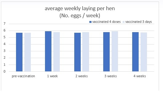 Salmonella in Poultry: Is it safe to vaccinate during the egg production period? - Image 2