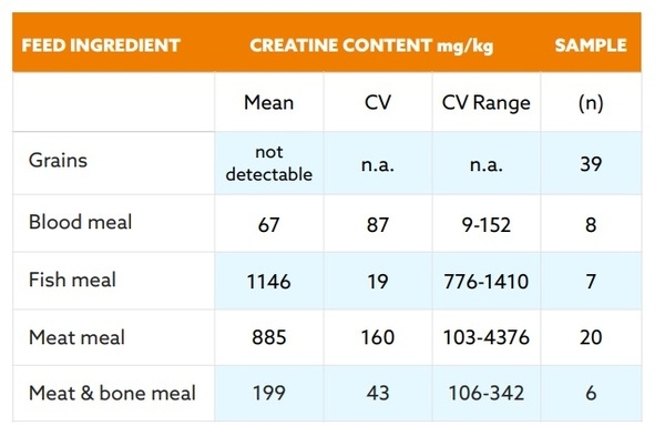 Creatine: The missing link for healthy growth - Image 4
