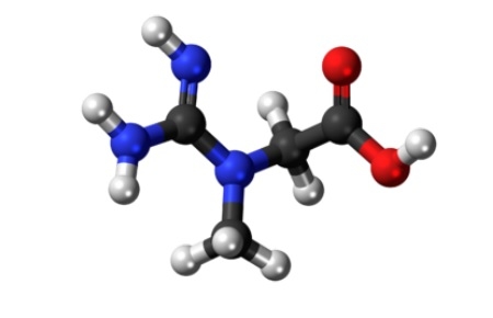 Creatine: The missing link for healthy growth - Image 1