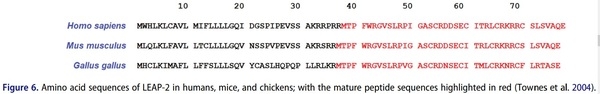 Antimicrobial peptides as an alternative to relieve antimicrobial growth promoters in poultry - Image 7