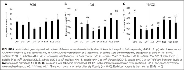 Oral Delivery of Bacillus subtilis Expressing Chicken NK-2 Peptide Protects Against Eimeria acervulina Infection in Broiler Chickens - Image 9