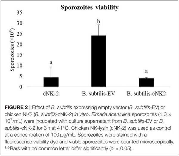Oral Delivery of Bacillus subtilis Expressing Chicken NK-2 Peptide Protects Against Eimeria acervulina Infection in Broiler Chickens - Image 4