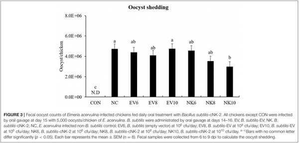 Oral Delivery of Bacillus subtilis Expressing Chicken NK-2 Peptide Protects Against Eimeria acervulina Infection in Broiler Chickens - Image 6