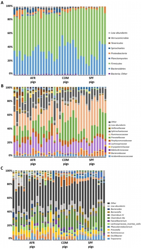 Comparative analysis of the fecal microbiota from different species of domesticated and wild suids - Image 1