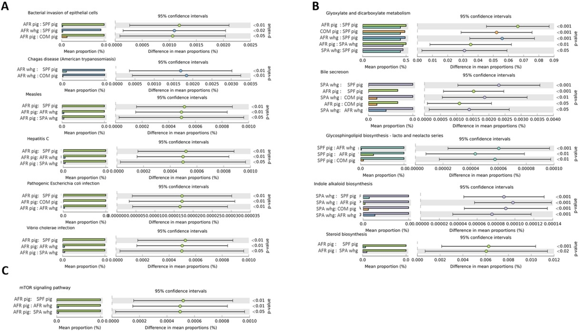 Comparative analysis of the fecal microbiota from different species of domesticated and wild suids - Image 3
