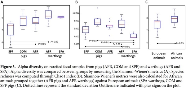 Comparative analysis of the fecal microbiota from different species of domesticated and wild suids - Image 5