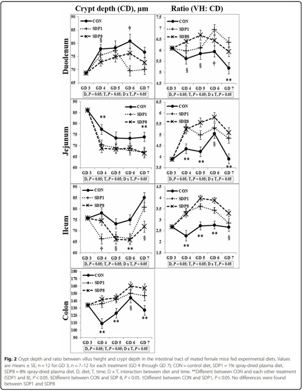 Dietary spray-dried plasma improves intestinal morphology of mated female mice under stress condition - Image 3