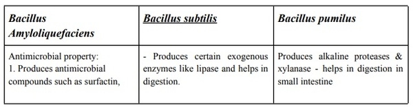 Benefits of Bacillus consortium for improving gut health and performance in poultry - Image 2