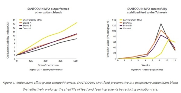 Antioxidant benefits in pig feed - Image 4