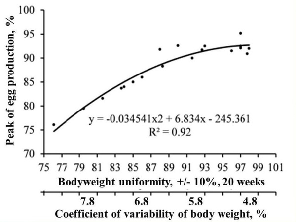 How to Increase the Persistence of Egg Production in Broiler Breeders? - Image 1